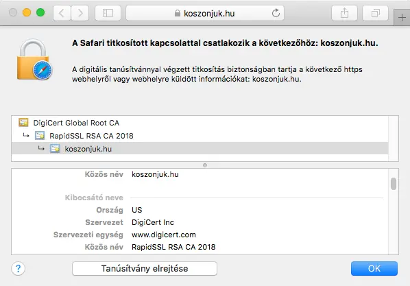 A RapidSSL Wildcard tanúsítvány megjelenítése a böngésző címsávában A RapidSSL Wildcard tanúsítvány megjelenítése a böngésző címsávában